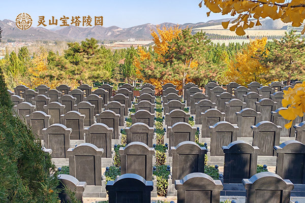 如何在北京墓园骨灰盒寄存：从流程到优势的详细指南